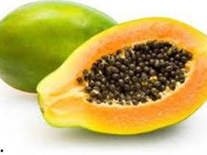 下奶瓜木瓜籽可以吃吗视频,安全与营养并重