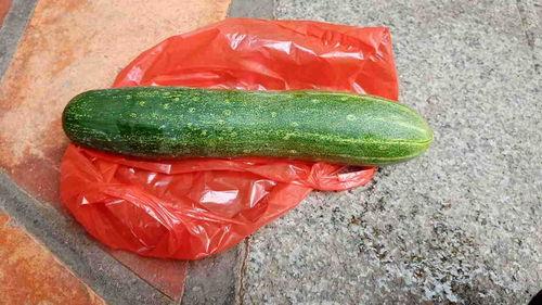 吃生瓜的视频大全集播放,生瓜视频大全集精彩回顾