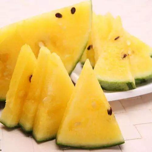 吃瓜视频哪个好,盘点最受欢迎的瓜圈神器