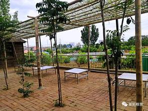 莱芜公园吃瓜视频,趣味横生的夏日午后