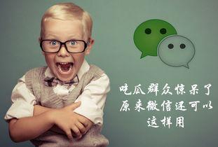 吃瓜群众被惊呆了视频,视频引发全网热议！