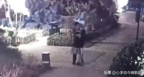 阿拉善吃瓜事件视频大全,视频大全揭秘惊人真相