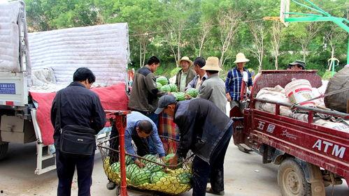 雒县吃瓜群众事件视频,一场网络舆论的风暴与反思