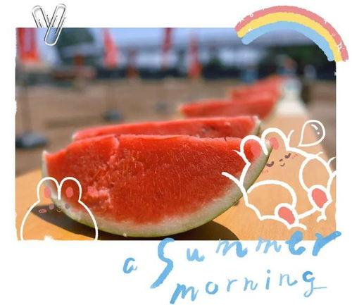 神仙吃瓜现场视频